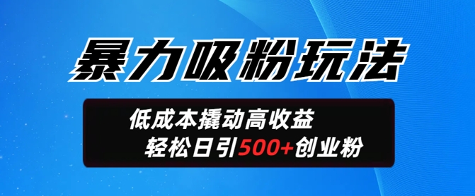 暴力吸粉玩法，日引500+精准创业粉，日变现轻松多张-佳宛技术