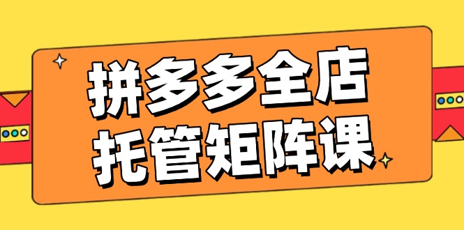 （14328期）拼多多全店托管矩阵课，盈利动销玩法，高效计划设置，提升店铺效益-佳宛技术
