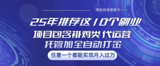 25年推荐这10个副业项目包含褂鸡类、代运营托管类、全自动打金类【揭秘】-佳宛技术