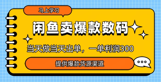 闲鱼卖爆款货源，当天做当天出单，一单利润3张-佳宛技术