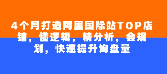 4个月打造阿里国际站TOP店铺，懂逻辑，精分析，会规划，快速提升询盘量-佳宛技术