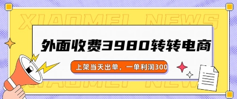 外面收费3980的转转电商玩法，上架当天出单，一单利润3张-佳宛技术