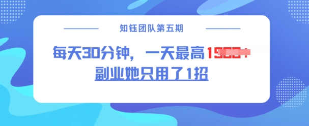 副业她只用了1招，每天30分钟，无脑二创，一天最高1.5k-佳宛技术