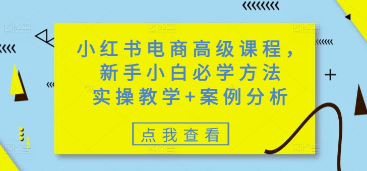 小红书电商高级课程，新手小白必学方法，实操教学+案例分析-佳宛技术